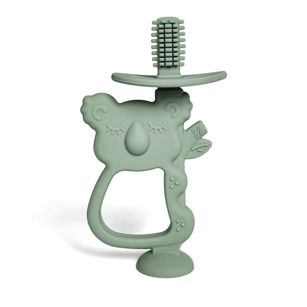 Cepillo Koala Verde Salvia Amorino