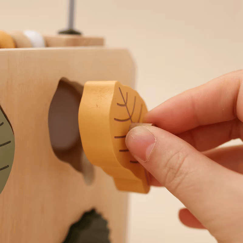 Cubo de encastre 5 en 1