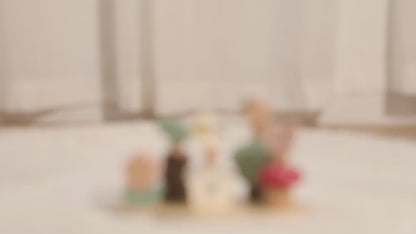 Mini Parque Interactivo